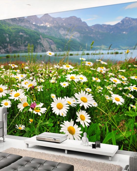 Fototapeten Fototapeten der Tapete